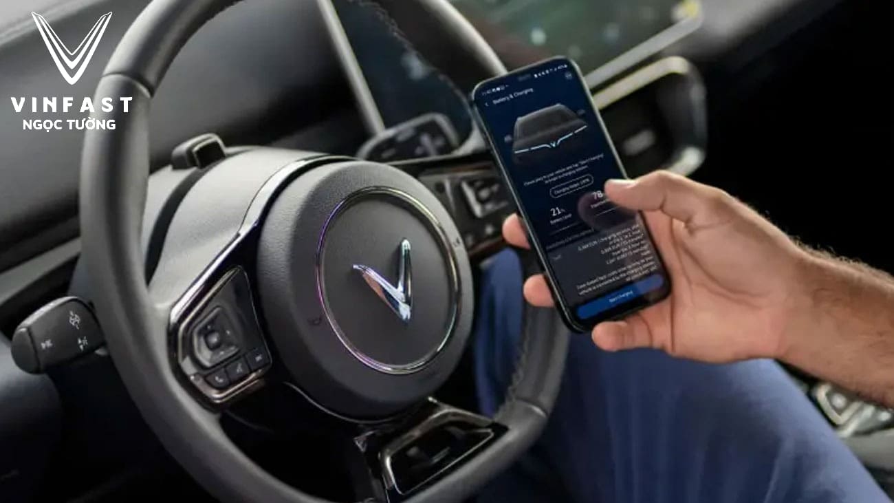 VinFast VF8 Bà Rịa Vũng Tàu